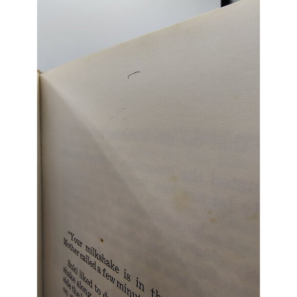 Suki And Magic Sand Dollar Joyce Blackburn 1969 Hardcover Rare Vintage Kids Book - Picture 11 of 16